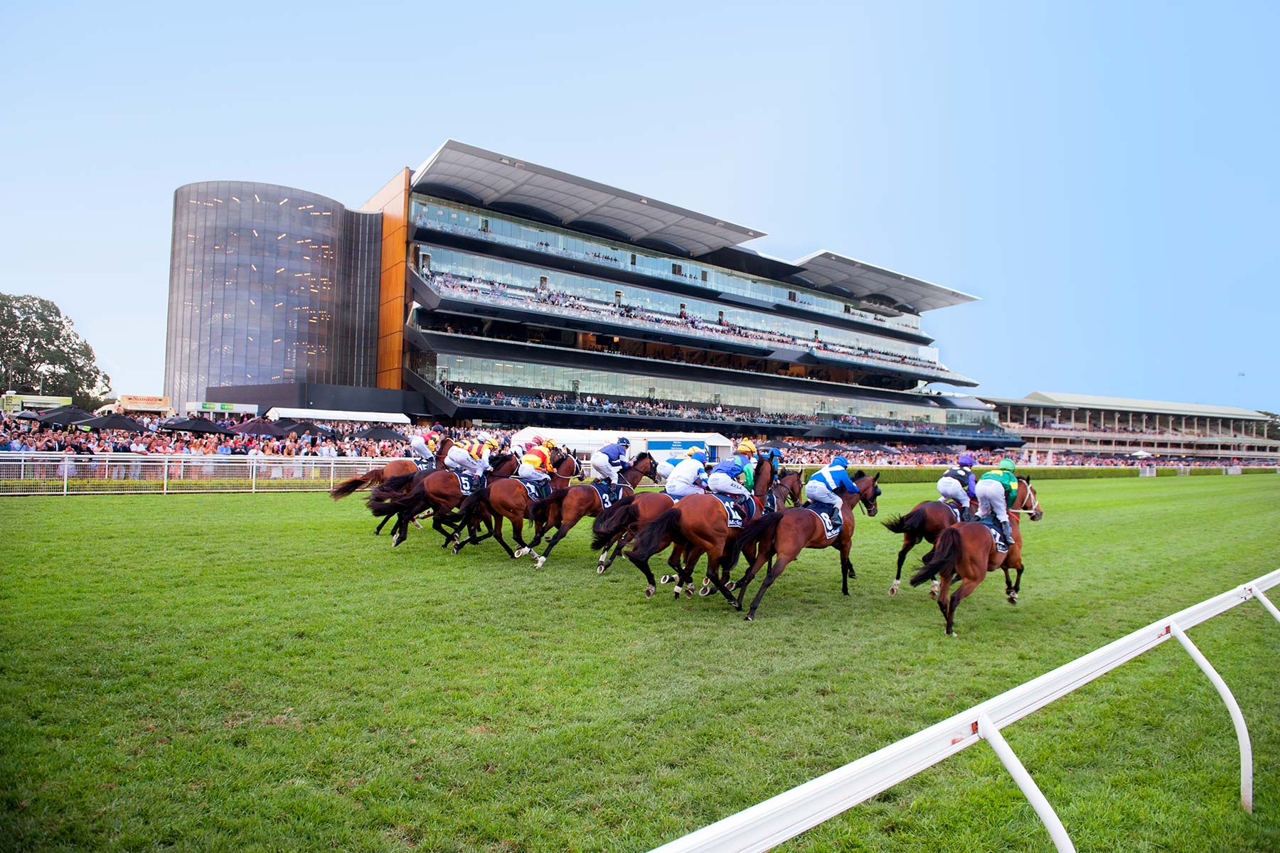 Chauffeur To and From Randwick Racecourse